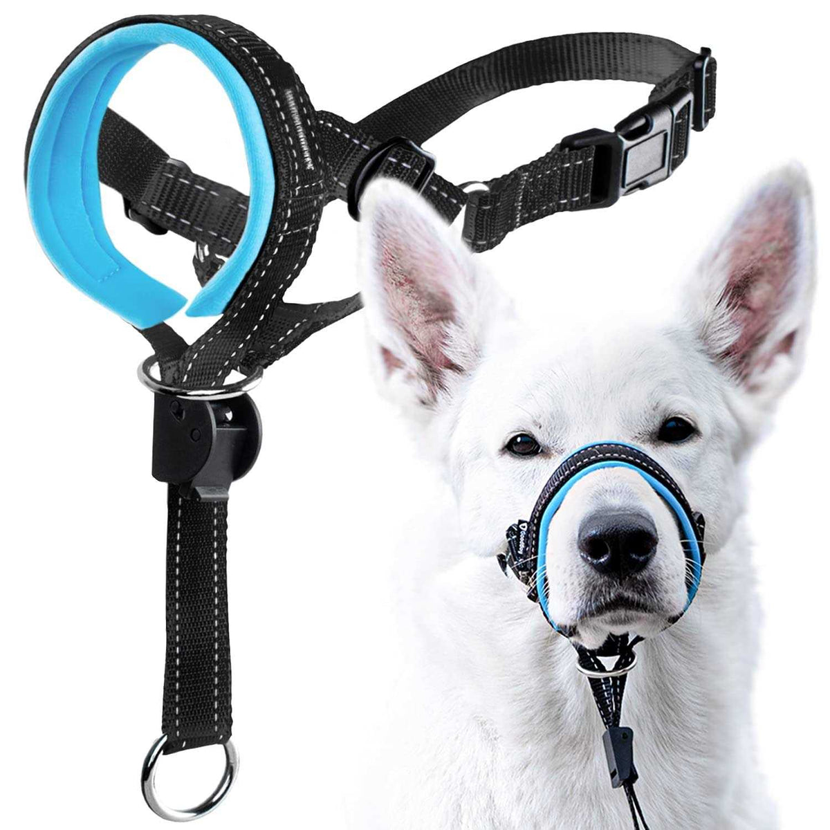 Dog Head Halter with Safety Strap C50585
