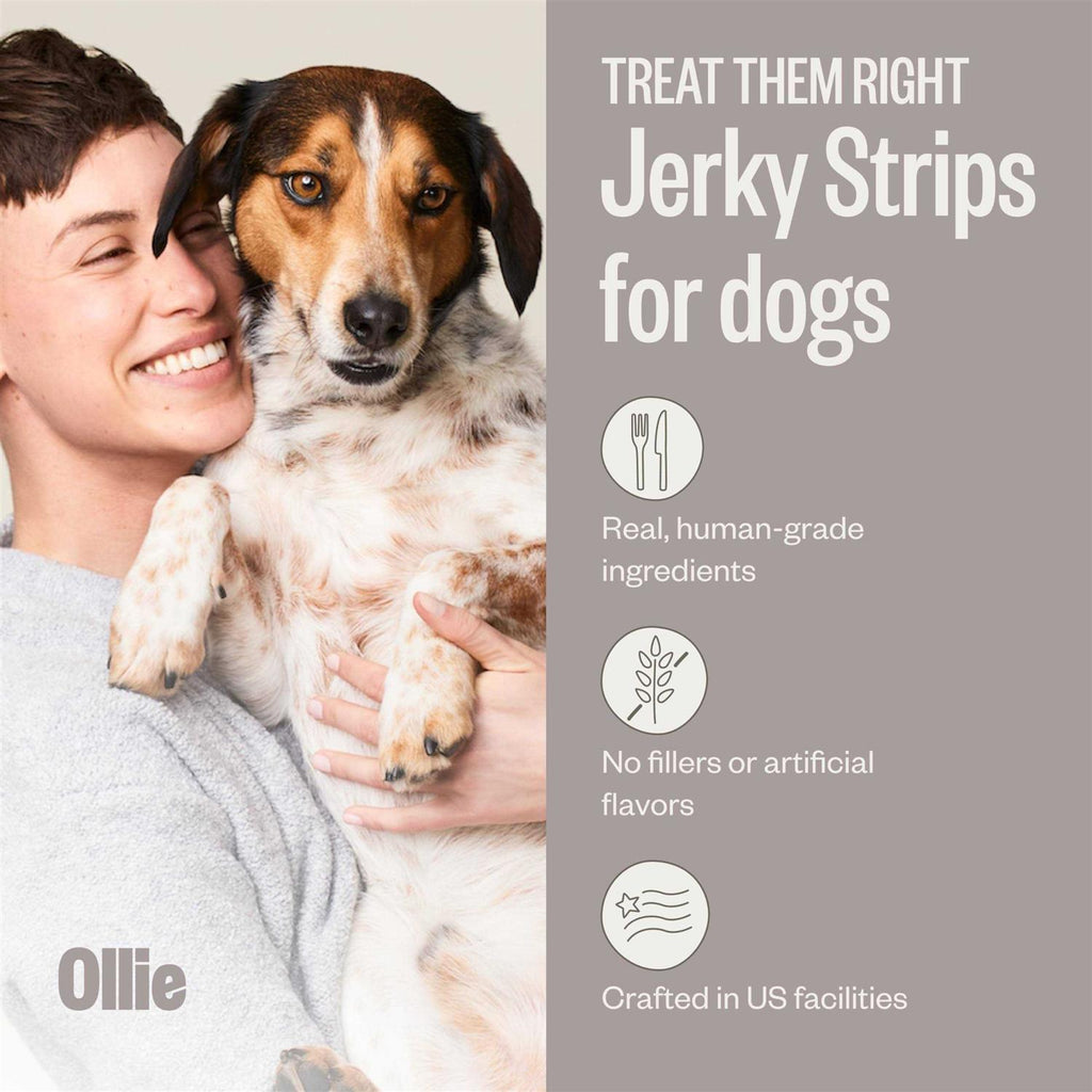 Beef and Sweet Potato Dog Jerky Treats T854