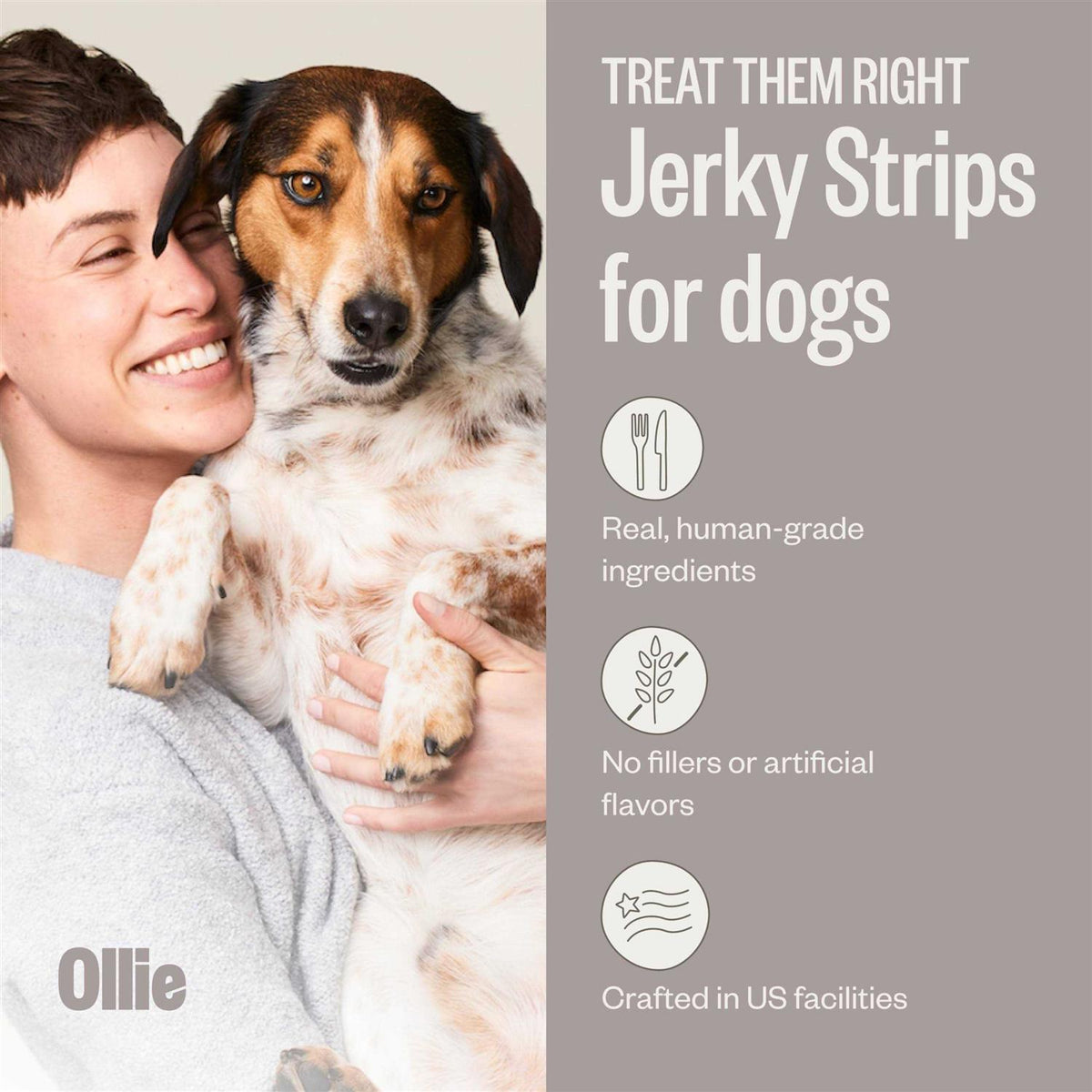 Beef and Sweet Potato Dog Jerky Treats T854