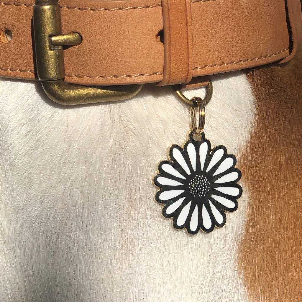 Daisy ID Tag W572328