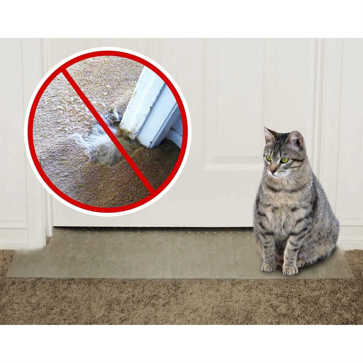 Carpet Scratch Stopper A579
