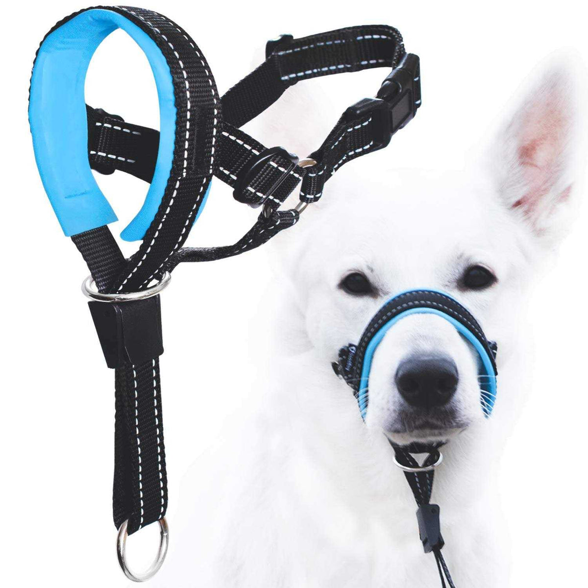 Dog Head Halter with Safety Strap C50585