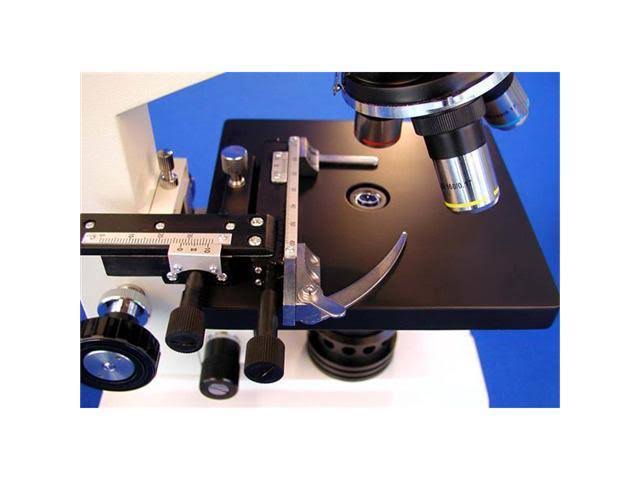 40X-400X Biological Compound Microscope with Mechanical Stage D502185