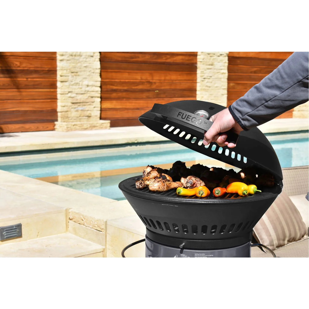 2-Burner Propane Gas Grill F712292