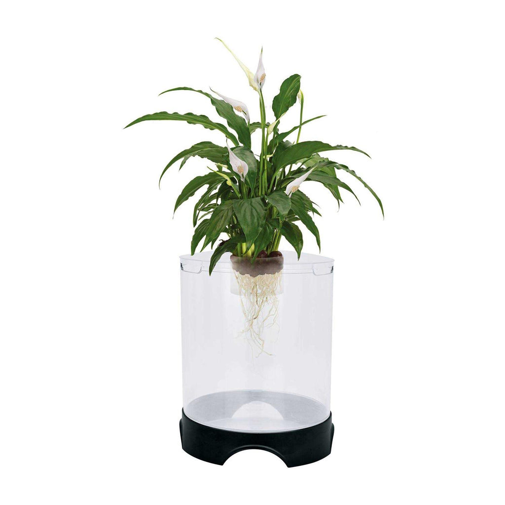 Aquaponic Planter and Aquarium for Betta Fish L552448