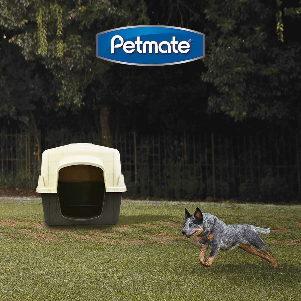 Dog House W202850