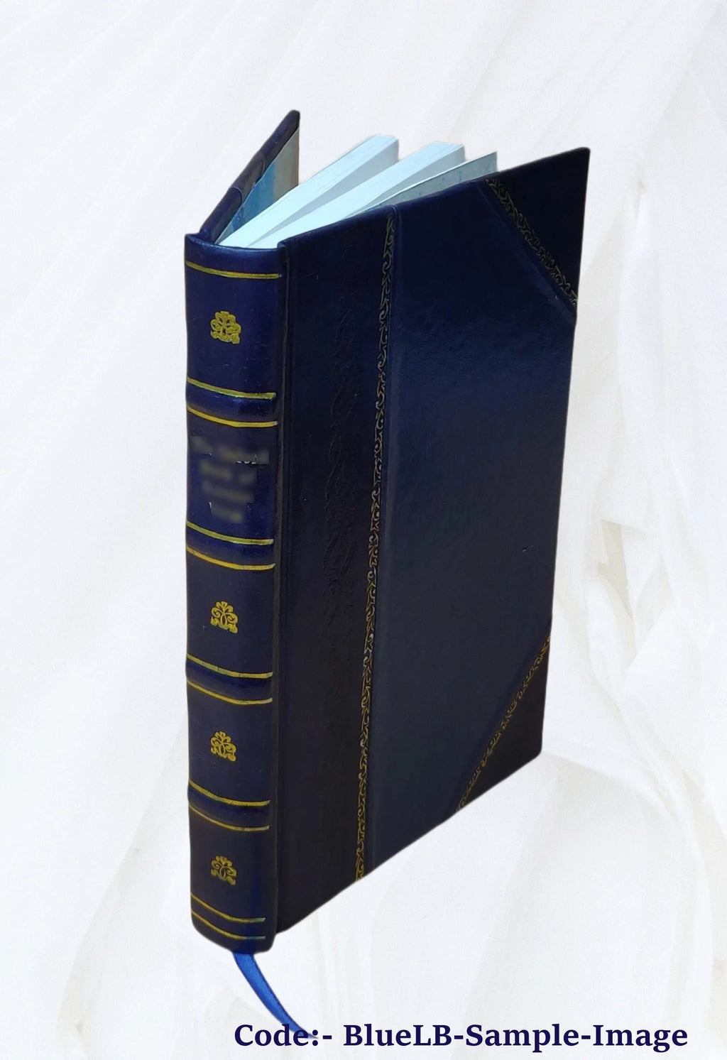 Leather Bound Illustrated Book N907349