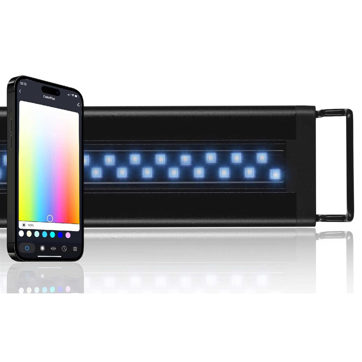 LED Light R231312