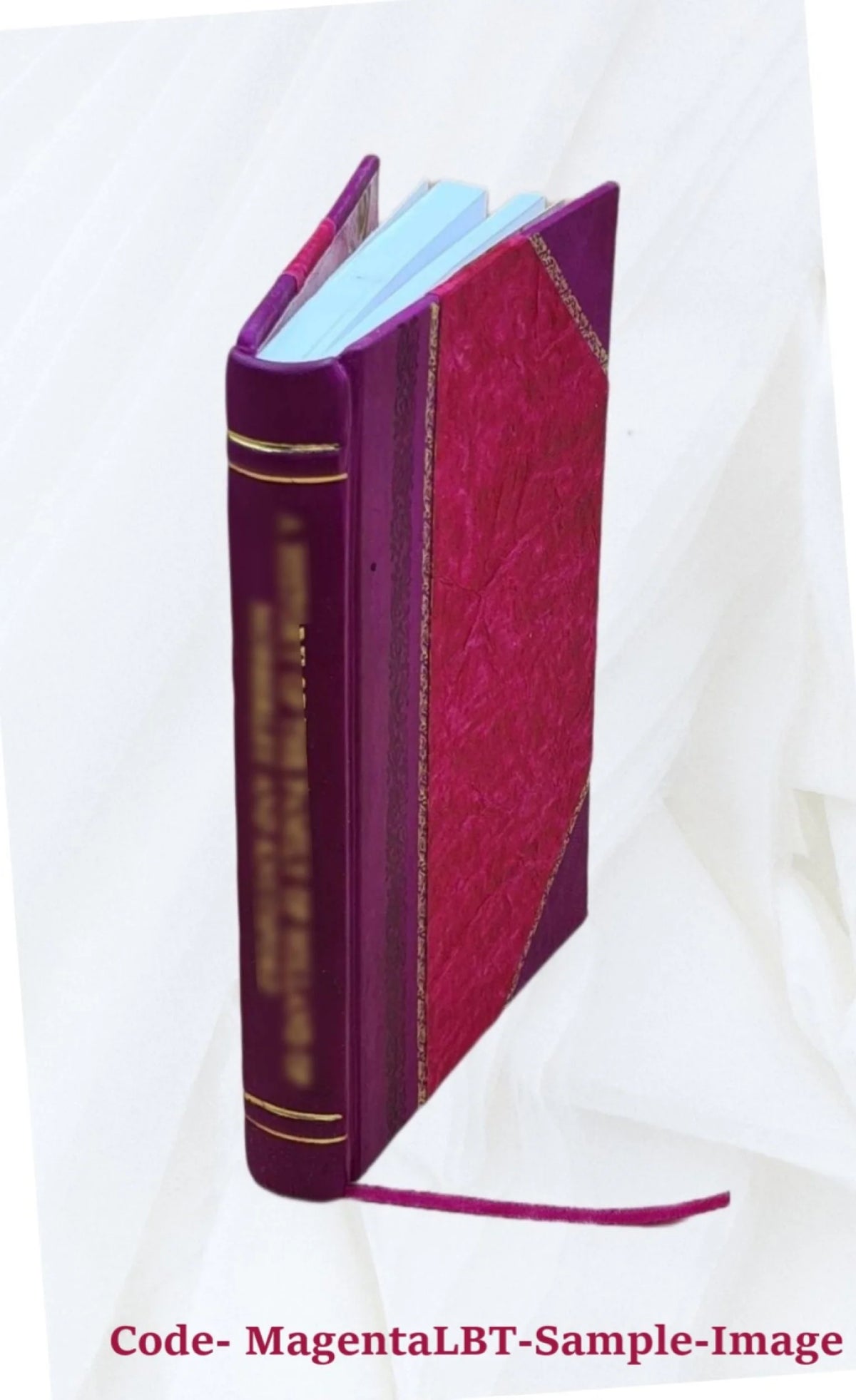 Michigan and the old Northwest Leather Bound P847