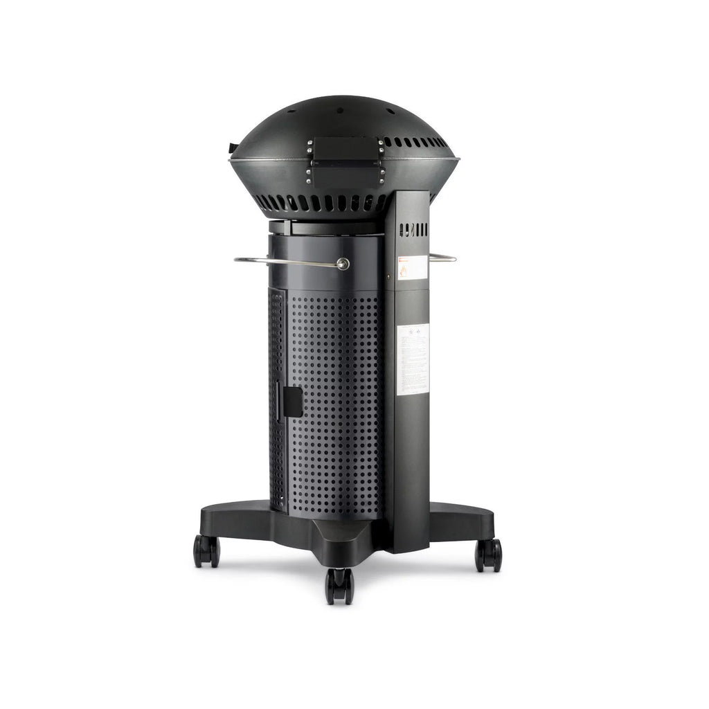 2-Burner Propane Gas Grill F712292