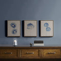 Blue Print Botanicals 3-Piece Framed Canvas Wall Art Set U8224