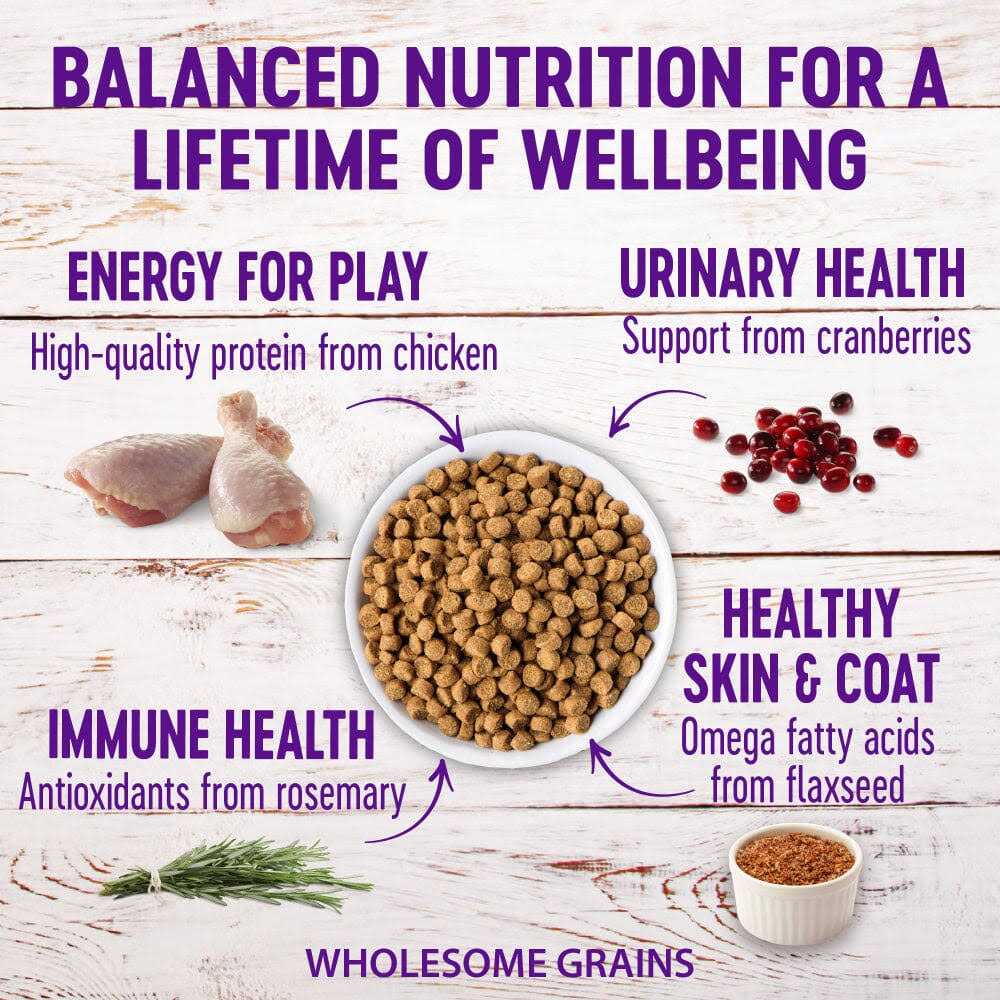 Chicken & Rice Dry Cat Food D975346