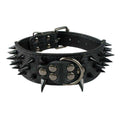 Leather Dog Collar 2 Inch P184