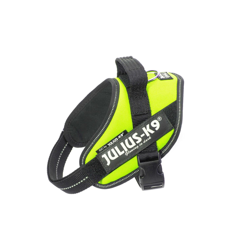 Powerharness A847999