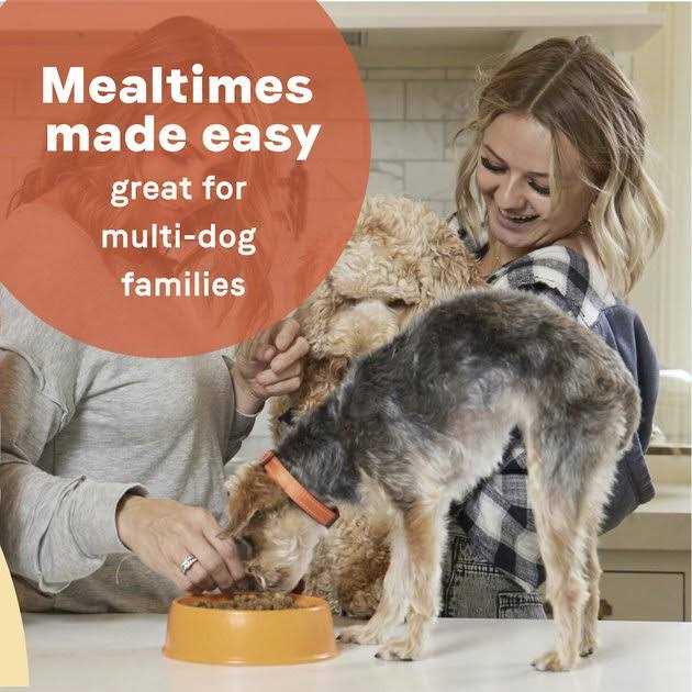 Dry Dog Food Lamb Meal & Rice I81572