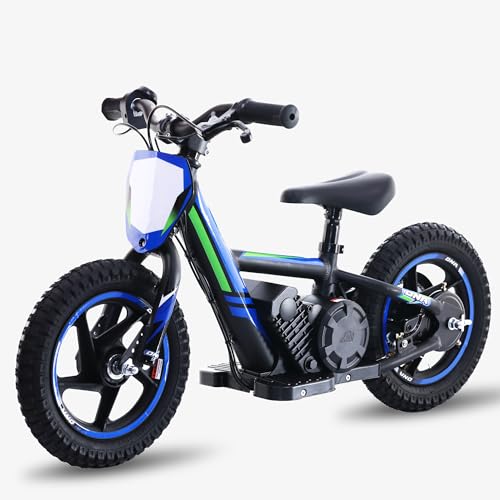 Lightweight 340W Electric Dirt Bike 24V 16-Inch Off-Road Tires O464