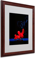 Canvas Art, 16 by 20-Inch, Wood Frame T140092