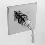 Flat Black Thermostatic Trim Plate with Handle B118