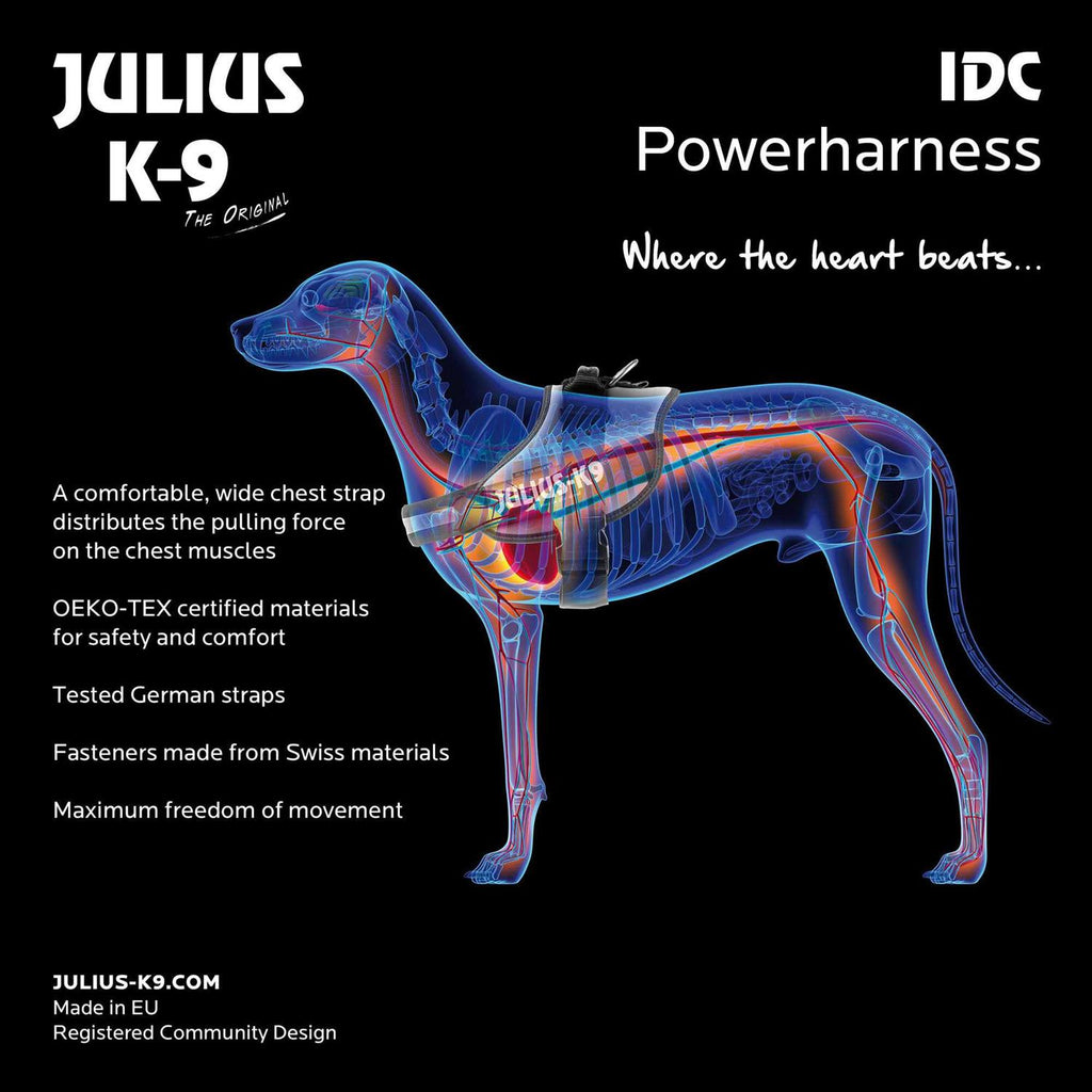 Powerharness A847999