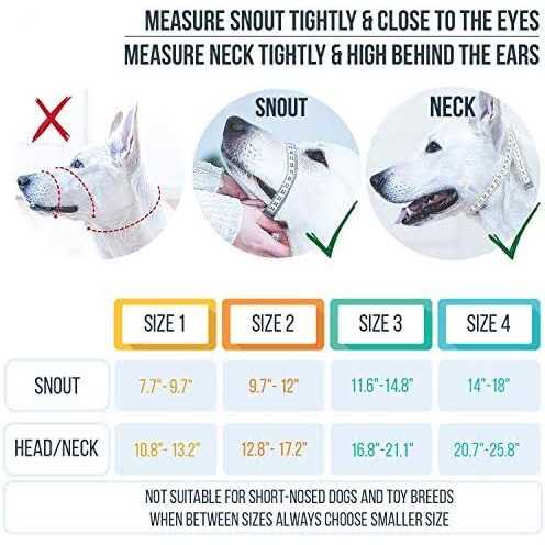 Dog Head Halter with Safety Strap C50585