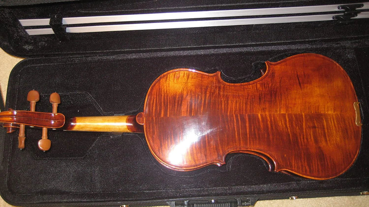 15" Viola R594071