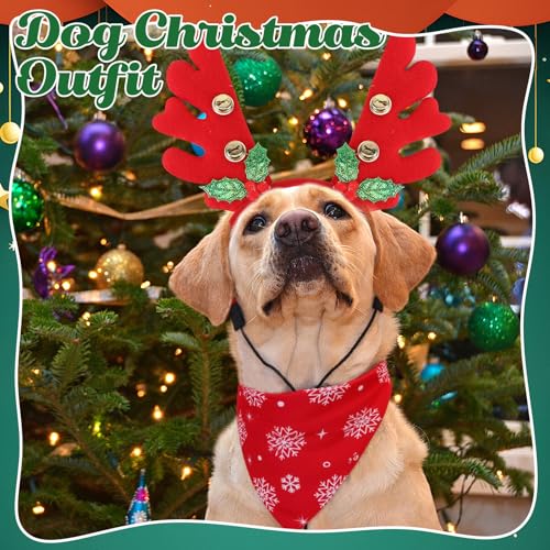 Christmas Dog Headband and Bandana Set Z573