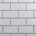 Matte White Ceramic Wall Tile C829
