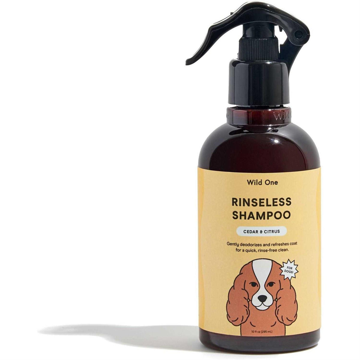 Rinseless Shampoo J24245