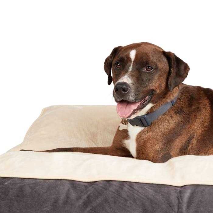 Dog Bed X38110