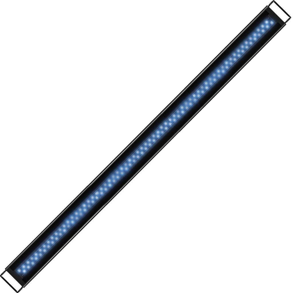 LED Light R231312