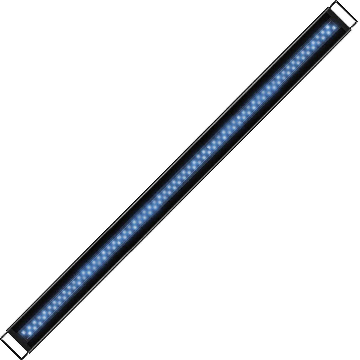 LED Light R231312