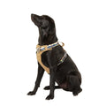 Lightweight Dog Harness J699