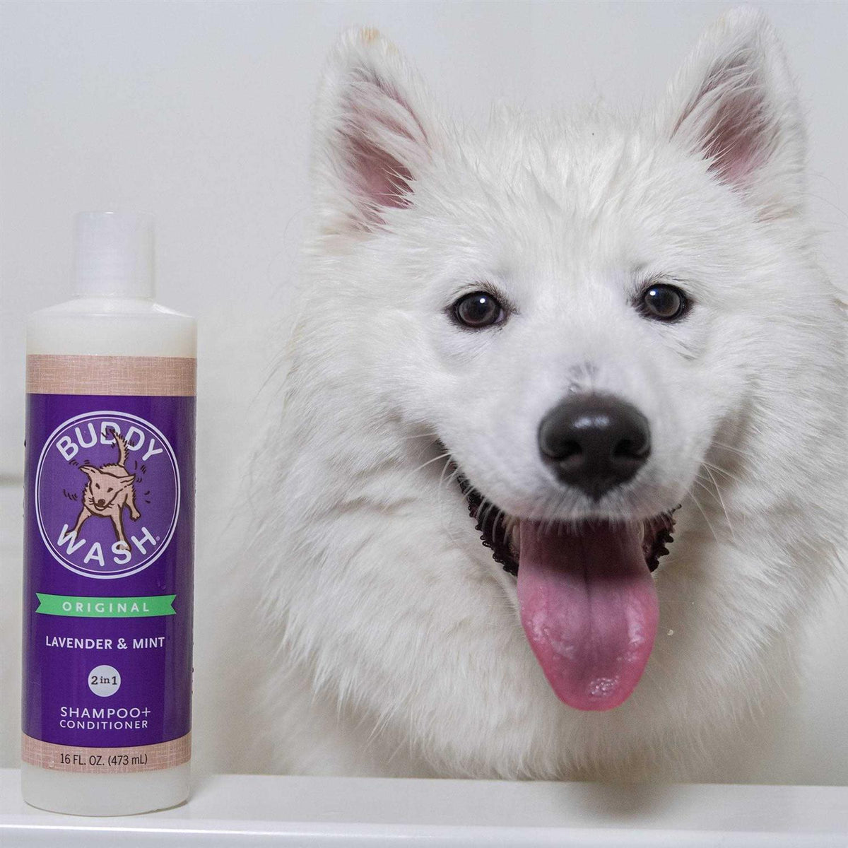 Lavender & Mint Dog Shampoo & Conditioner F339549