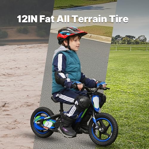 Lightweight 340W Electric Dirt Bike 24V 16-Inch Off-Road Tires O464