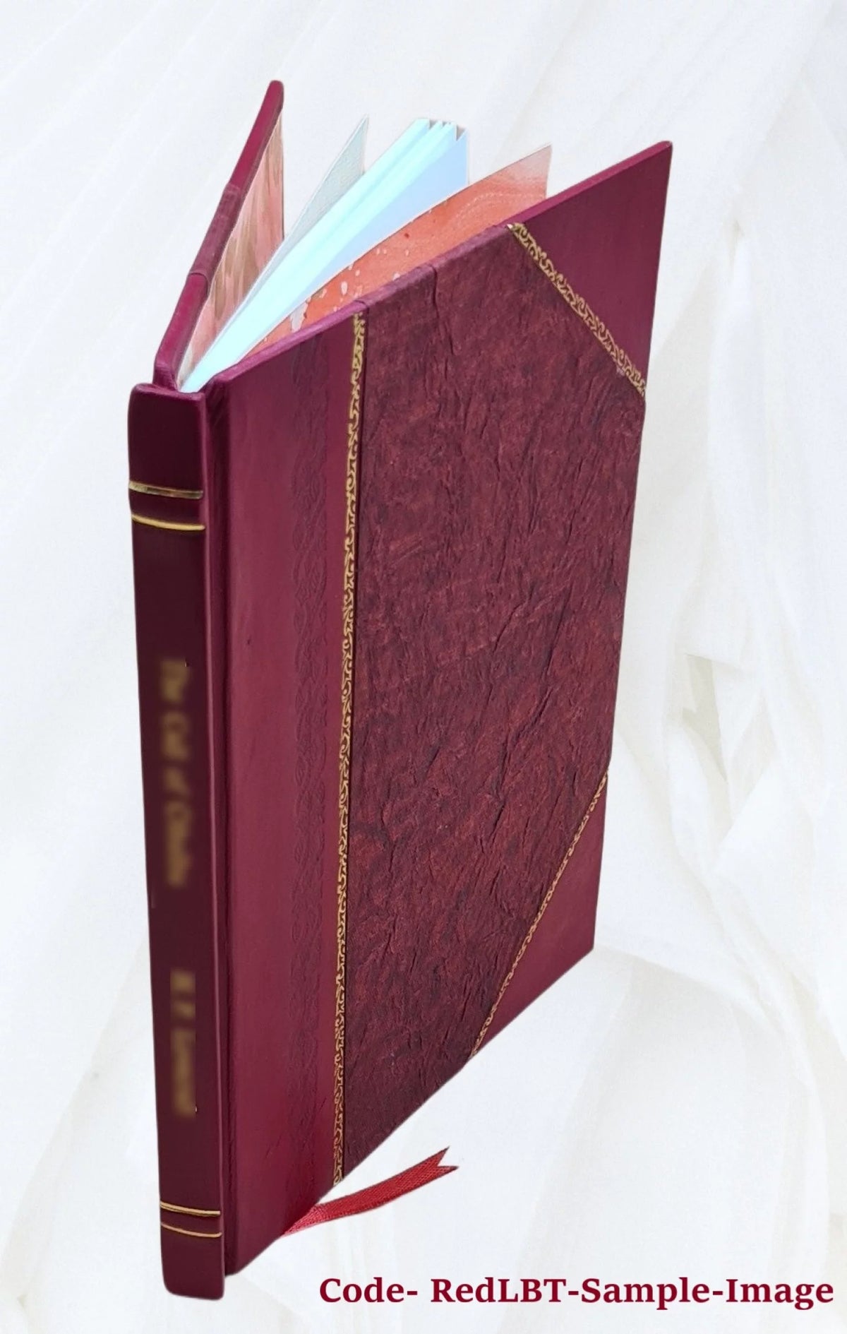 Michigan and the old Northwest Leather Bound P847