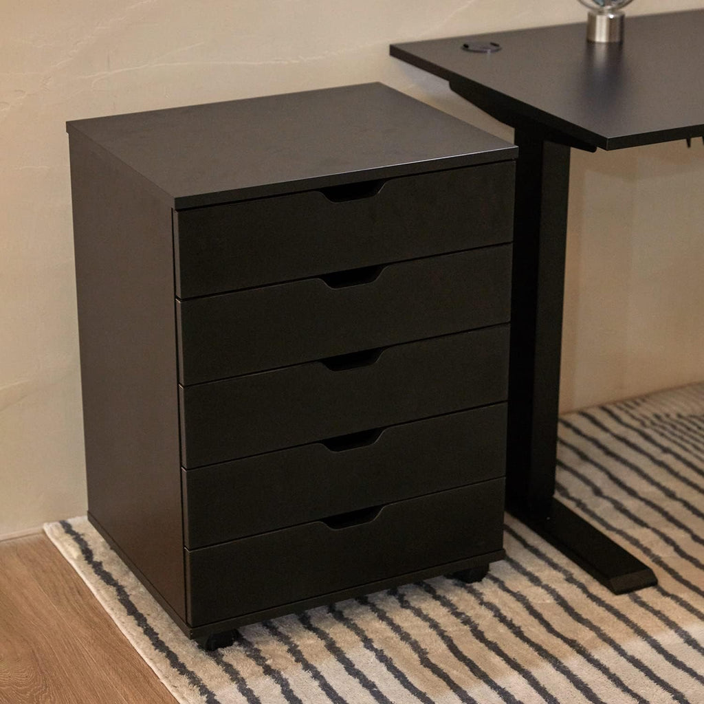 5 Drawer File Cabinet with Casters T803389