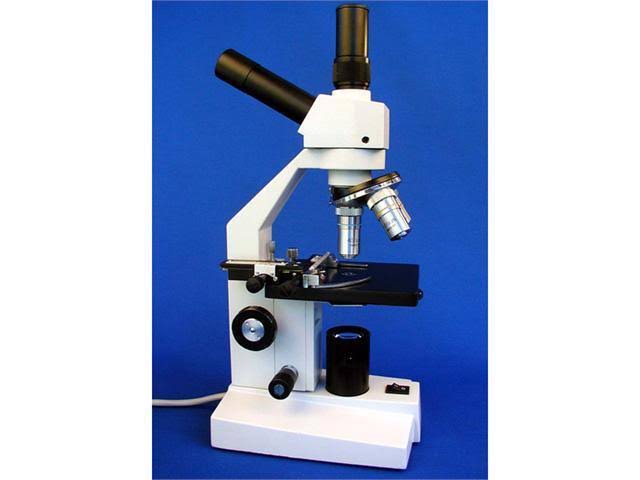 40X-400X Biological Compound Microscope with Mechanical Stage D502185