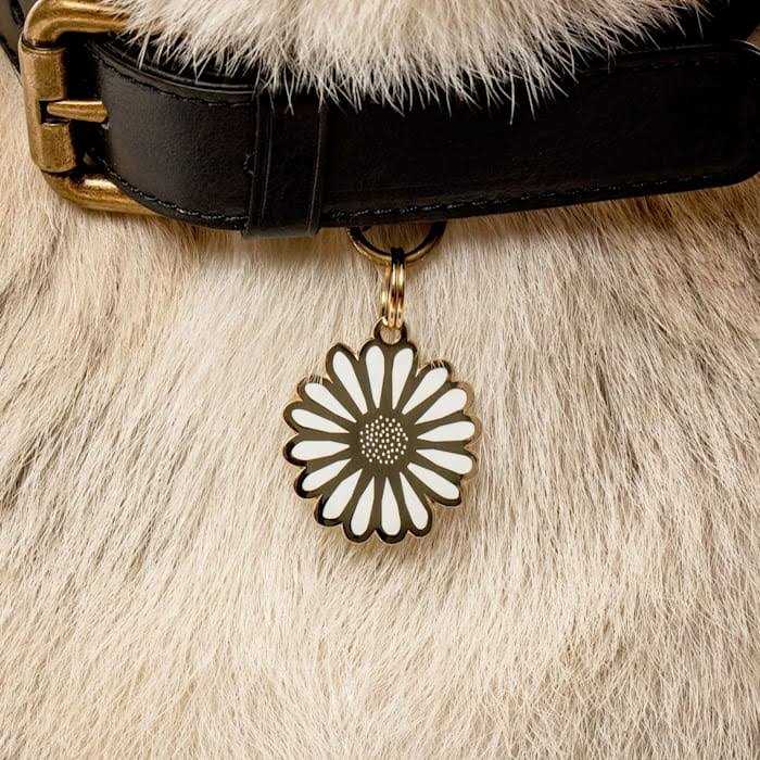 Daisy ID Tag W572328