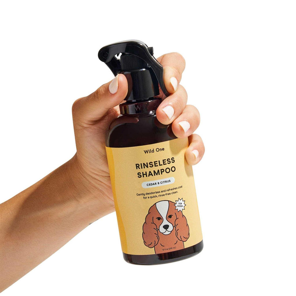 Rinseless Shampoo J24245