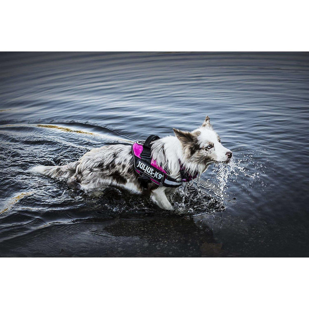 Powerharness A847999