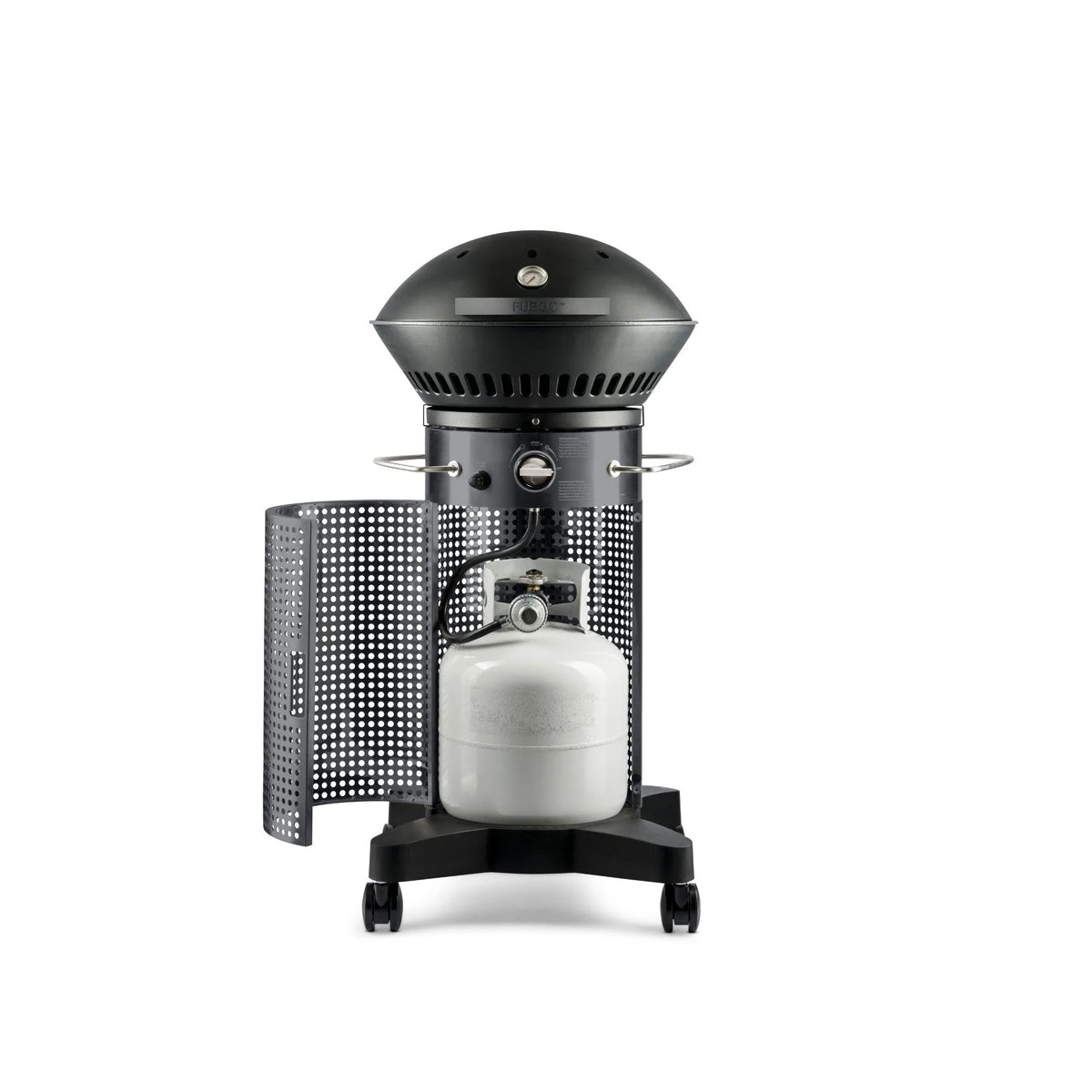 2-Burner Propane Gas Grill F712292