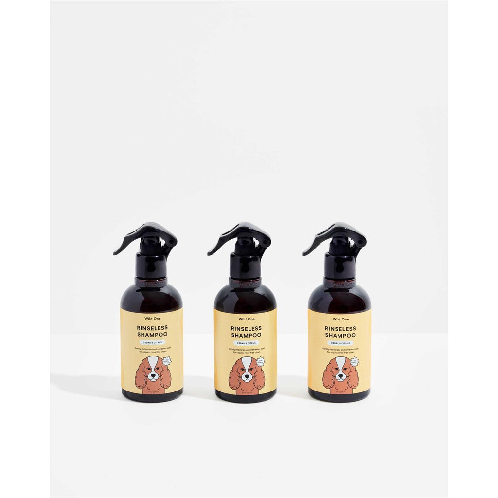 Rinseless Shampoo J24245