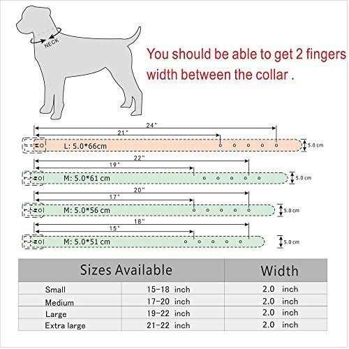 Leather Dog Collar 2 Inch P184