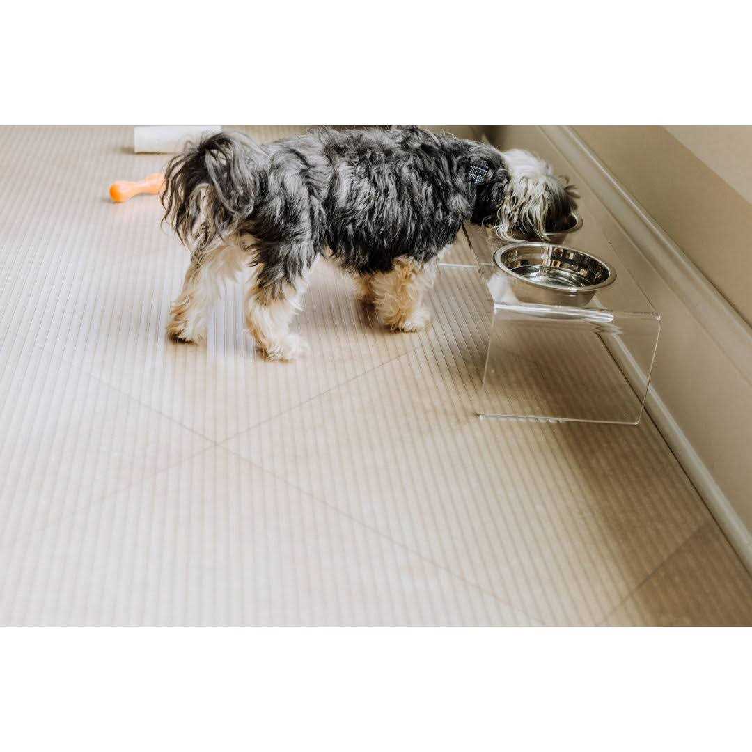 Vinyl Pet Floor Protector I315