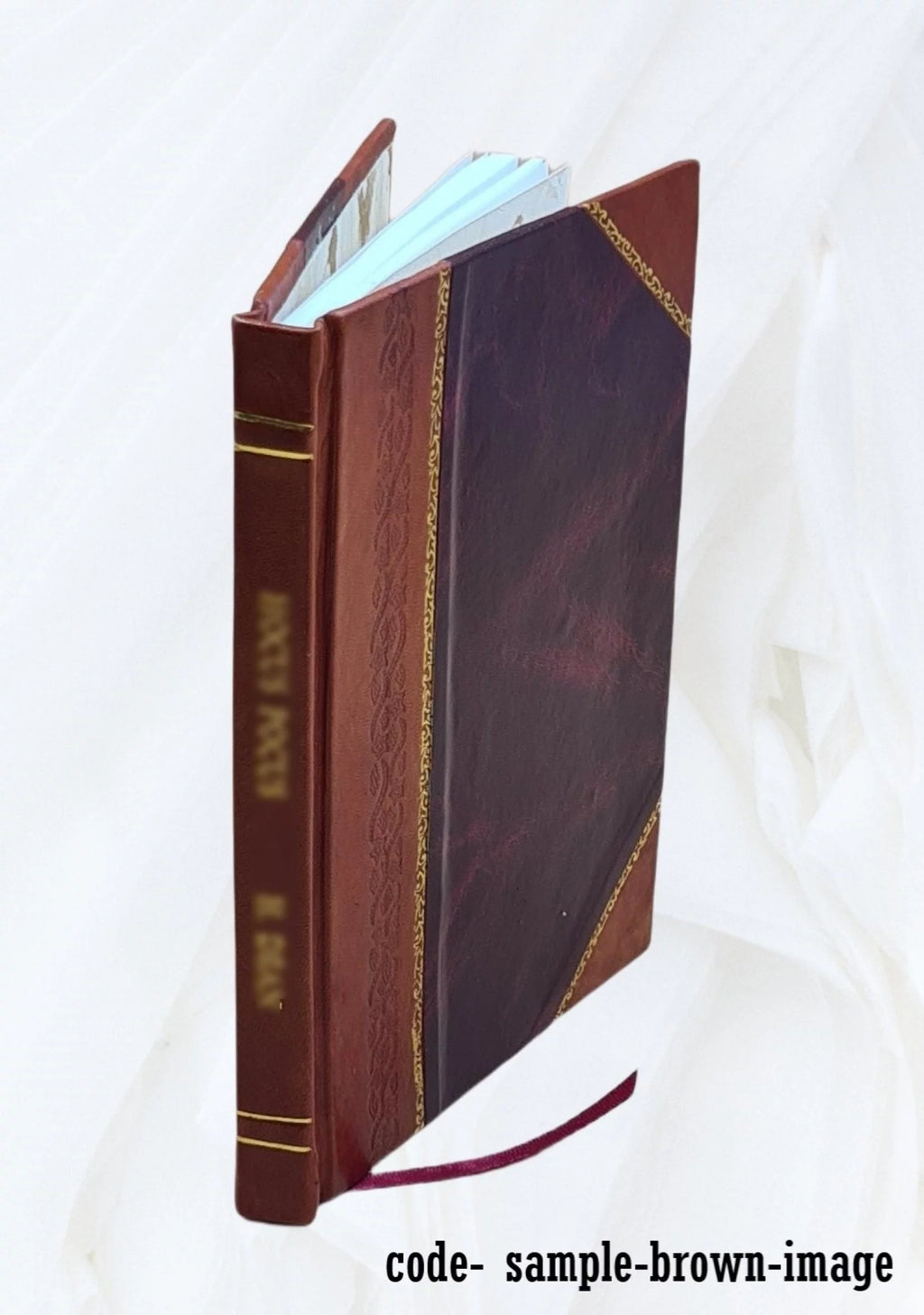 Michigan and the old Northwest Leather Bound P847