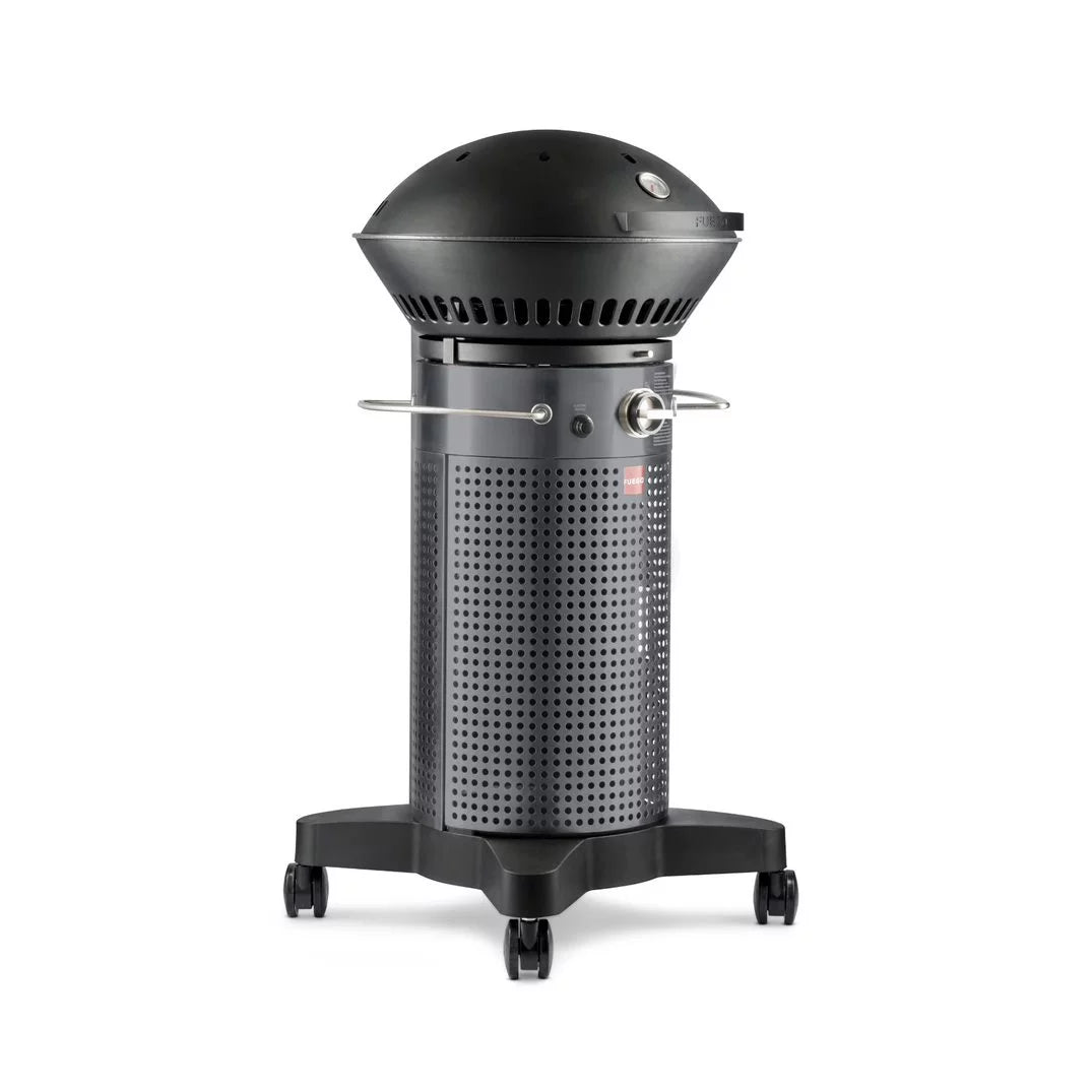 2-Burner Propane Gas Grill F712292
