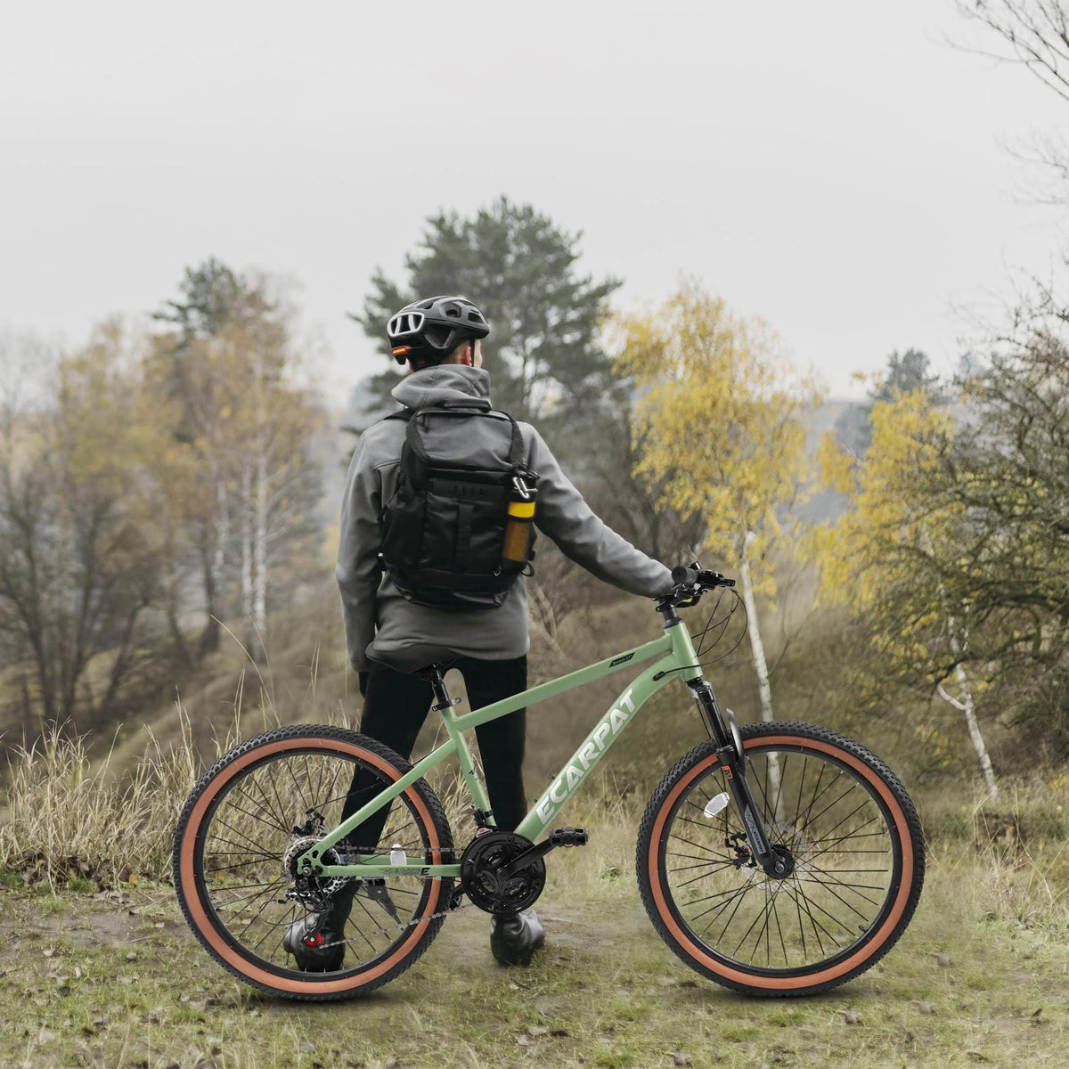 27.5 Inch 21 Speed Carbon Steel Mountain Bike W138