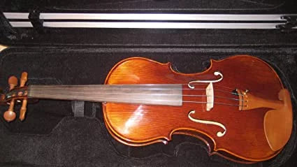 15" Viola R594071