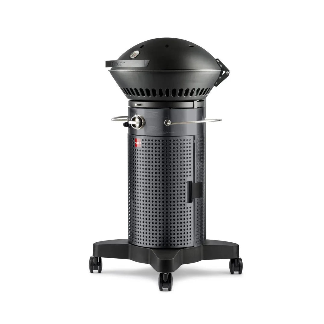 2-Burner Propane Gas Grill F712292