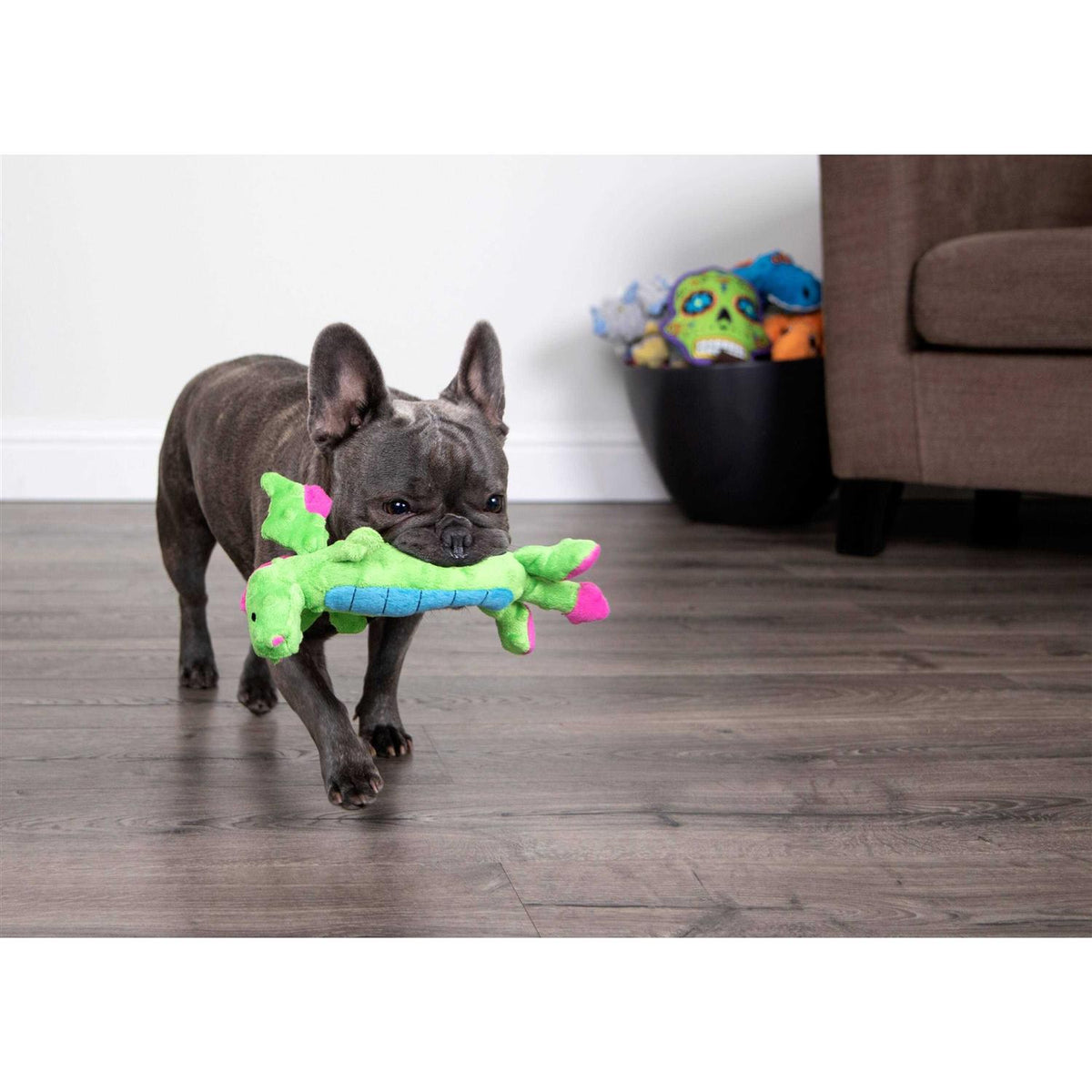Skinny Chew Guard Dog Toy Q7763